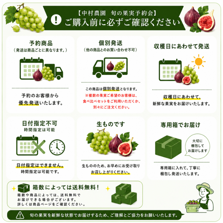 早期予約キャンペーン】中村農園 旬の果実食べ比べセット（シャイン